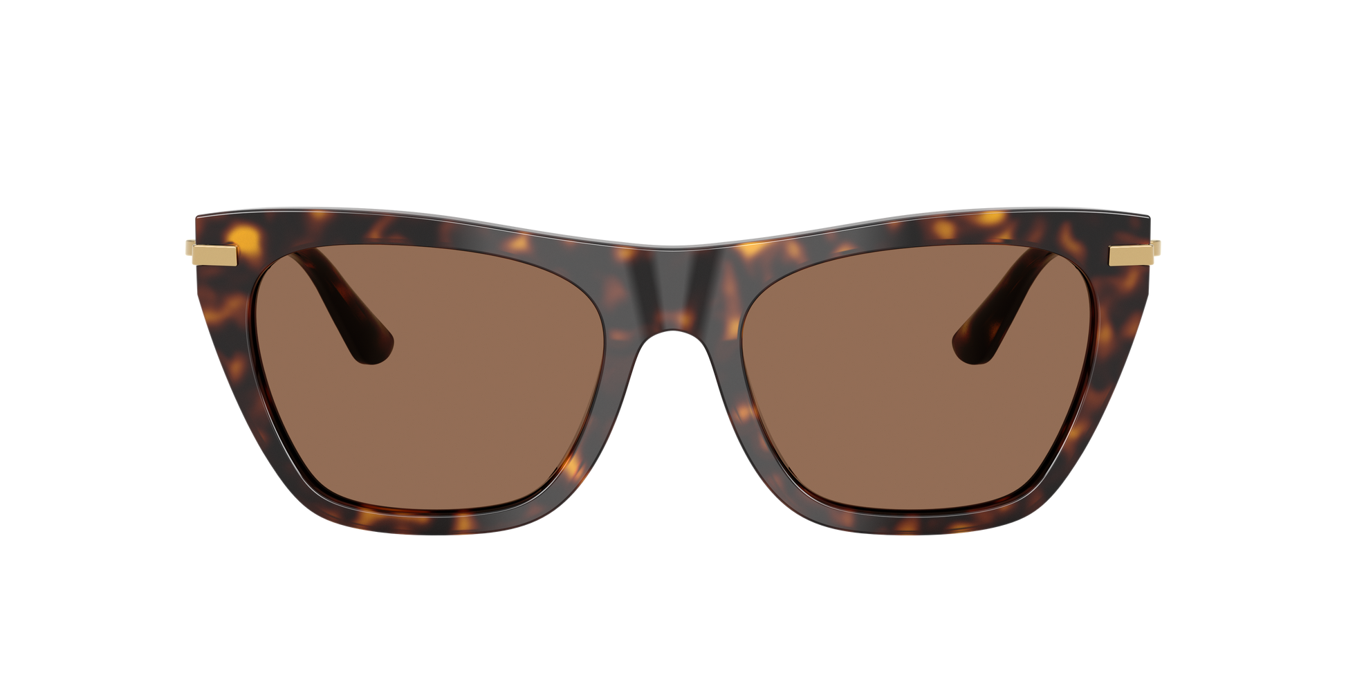 Dolce & Gabbana DG4511 502/73