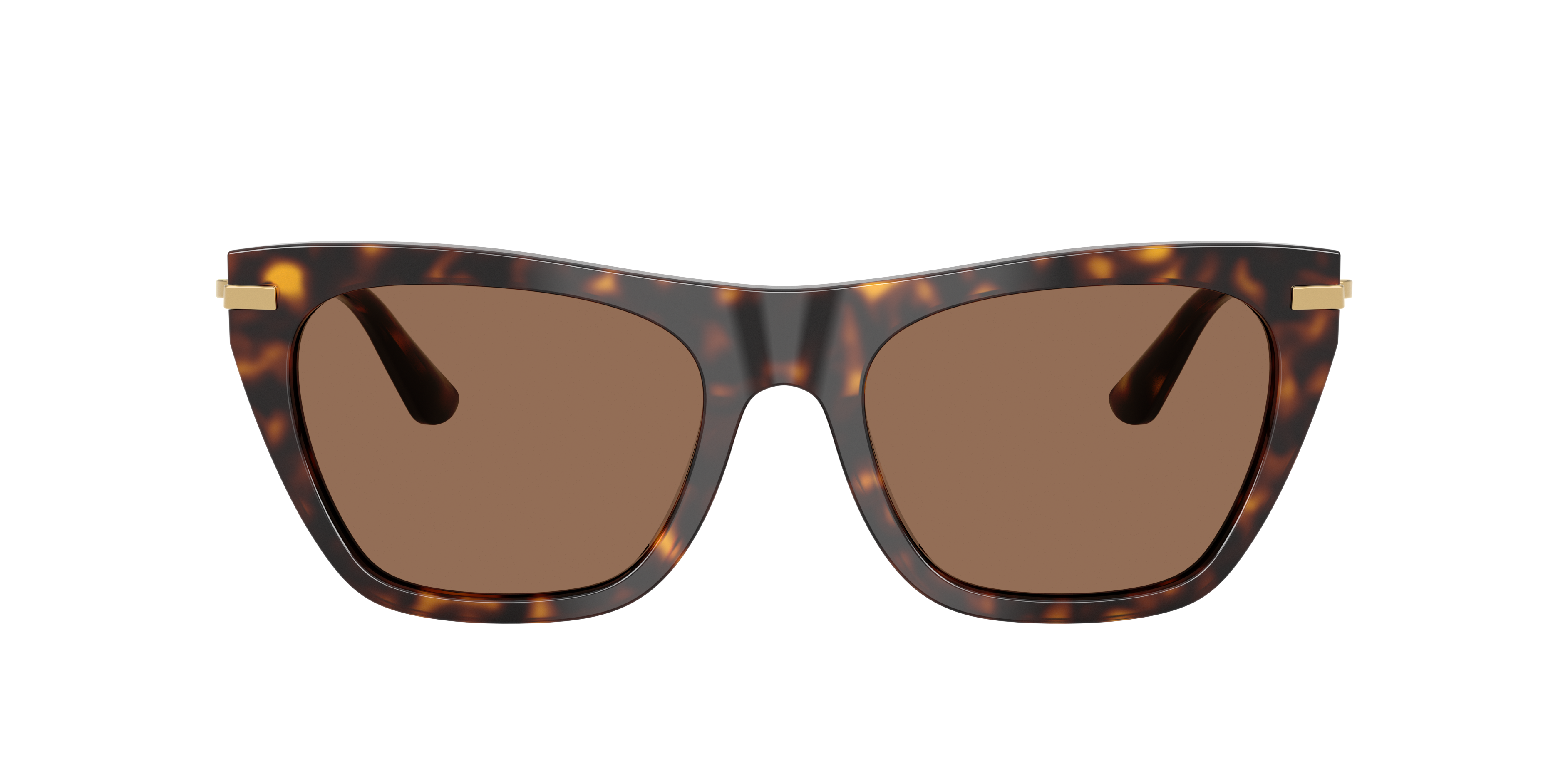 Dolce & Gabbana DG4511 502/73