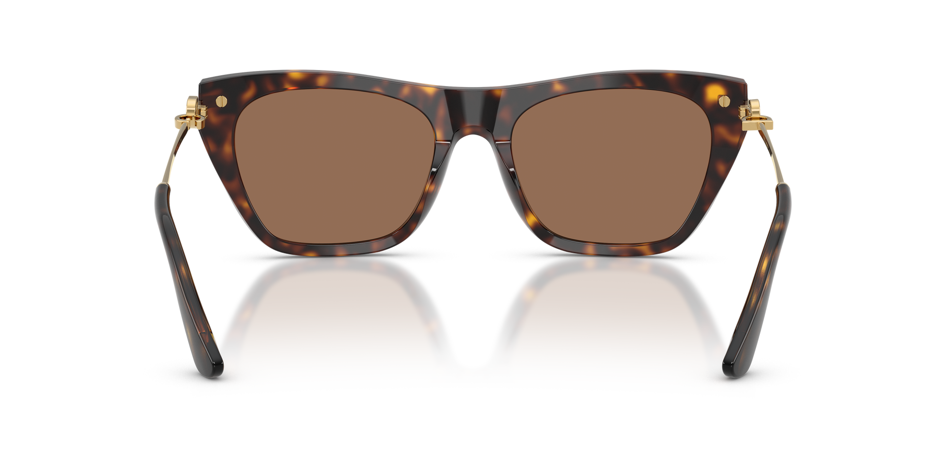 Dolce & Gabbana DG4511 502/73