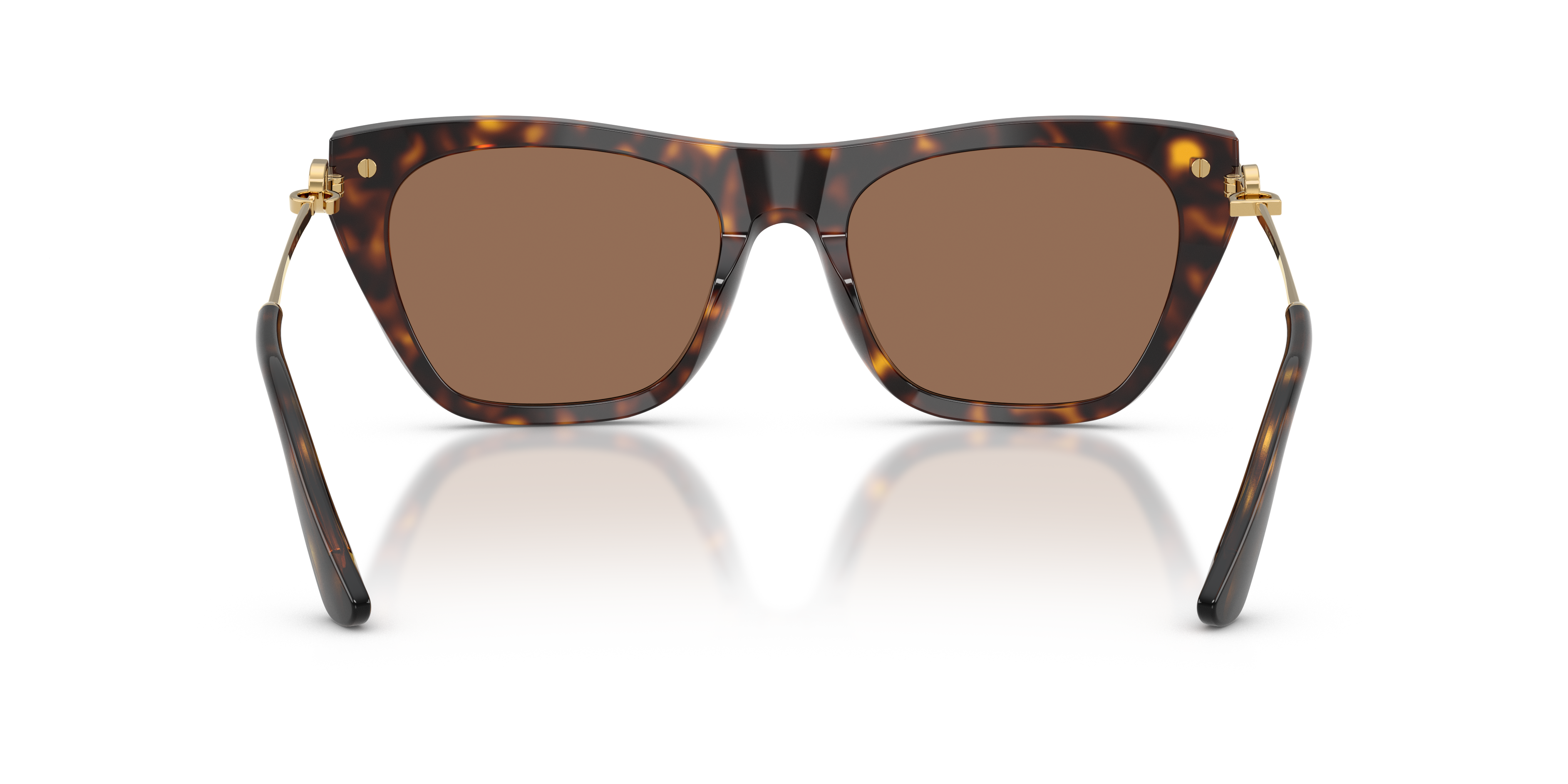 Dolce & Gabbana DG4511 502/73