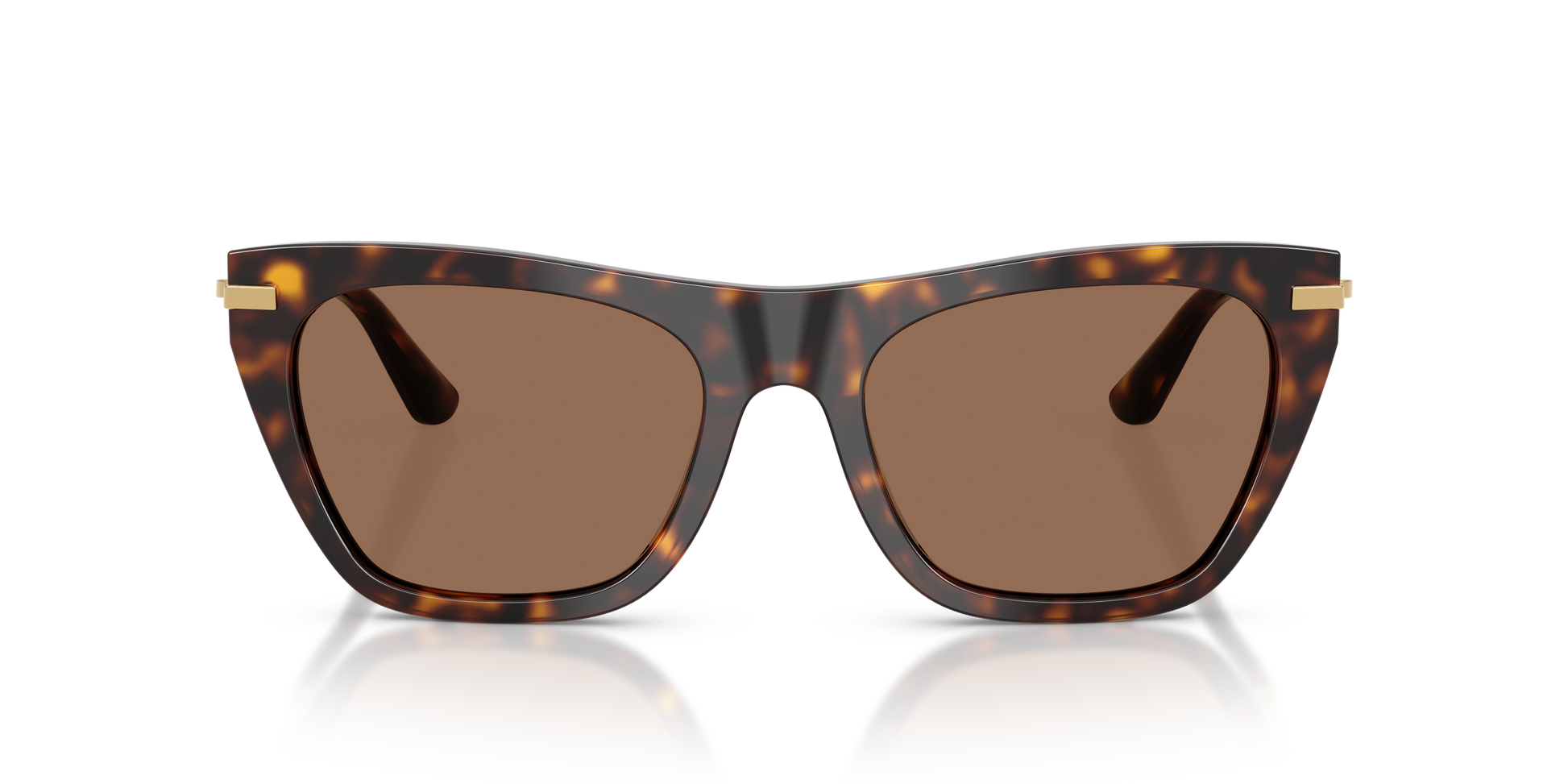 Dolce & Gabbana DG4511 502/73