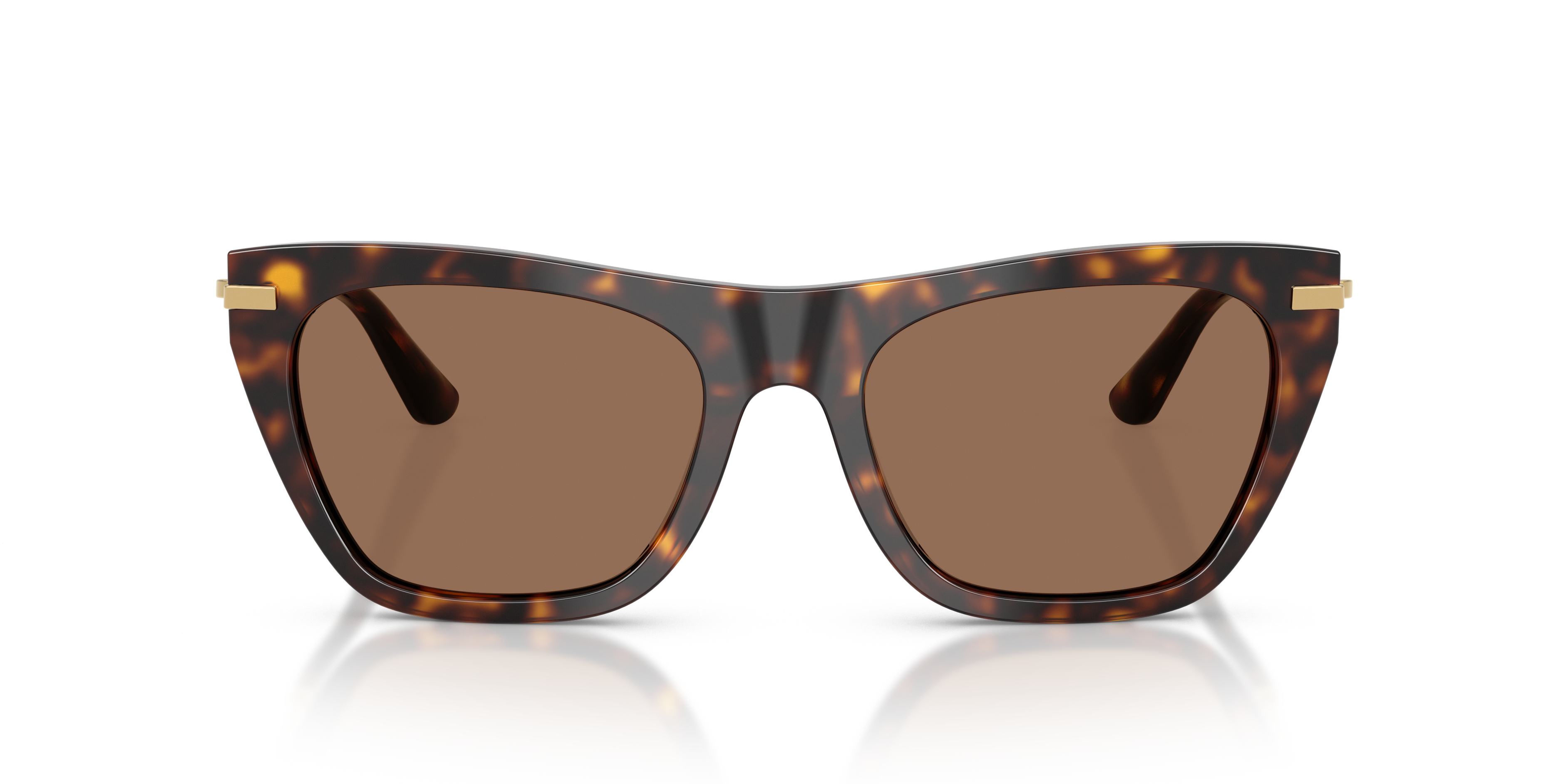 Dolce & Gabbana DG4511 502/73