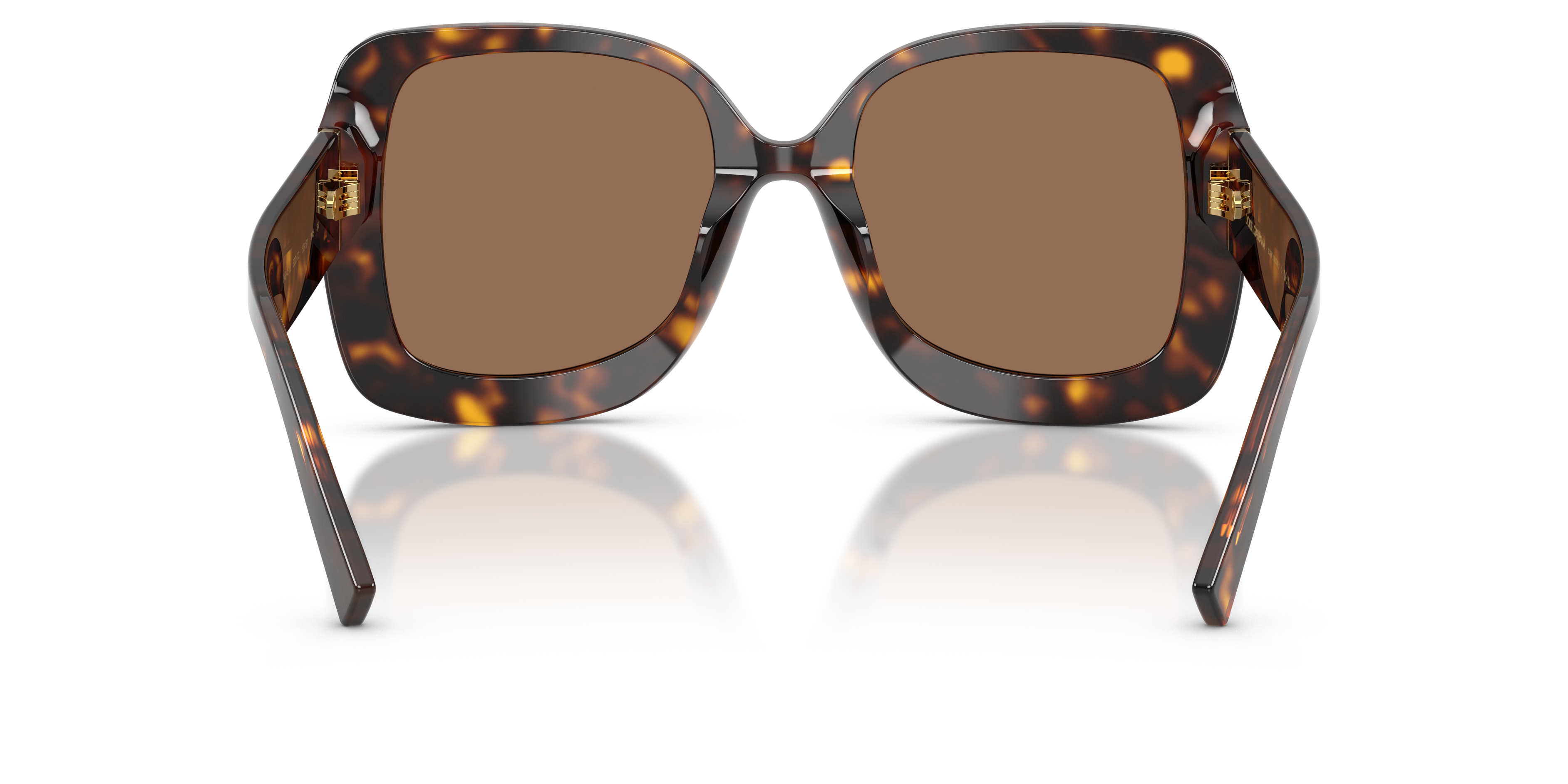 Dolce & Gabbana DG4513 502/73