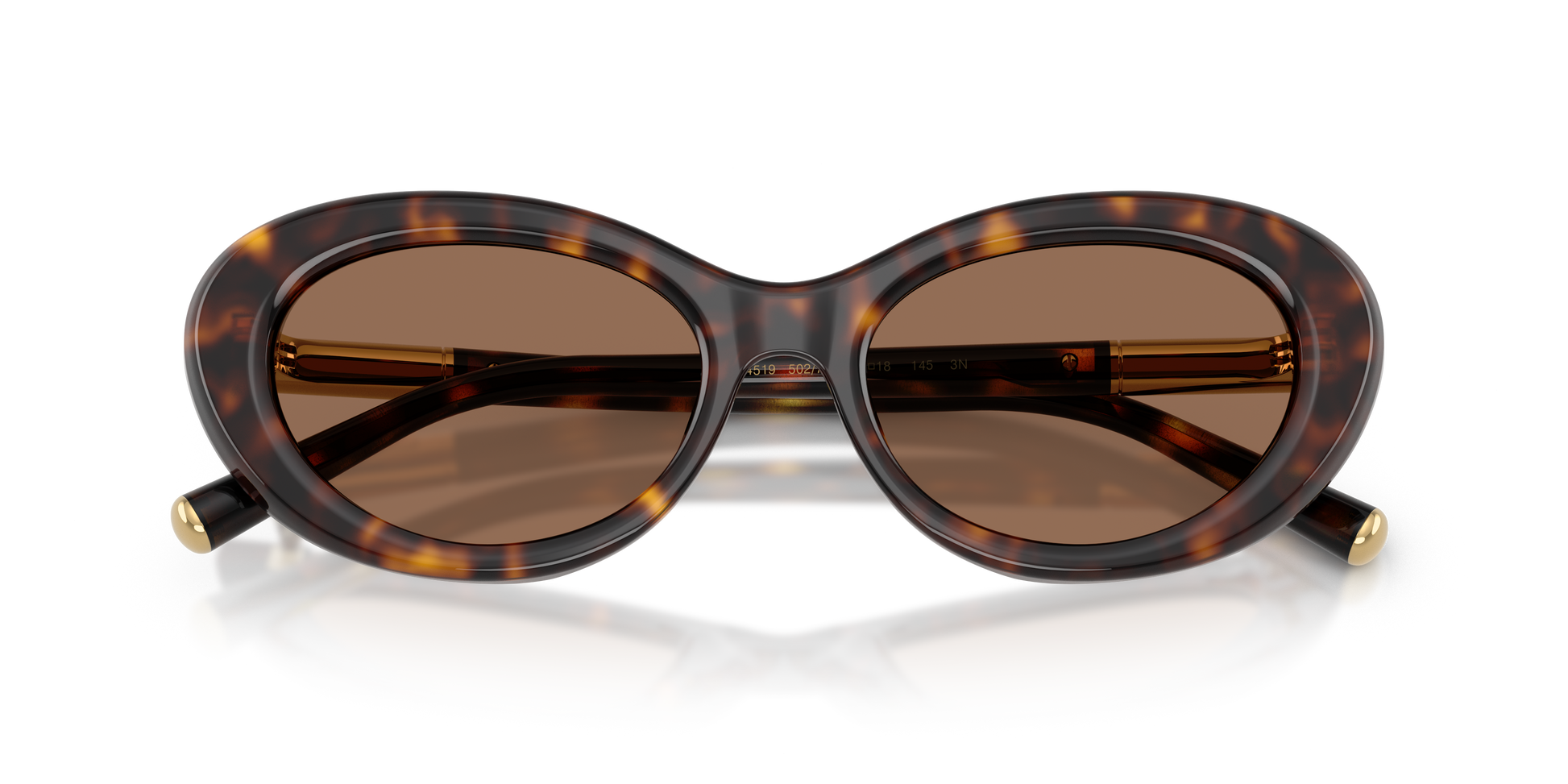 Dolce & Gabbana DG4519 502/73