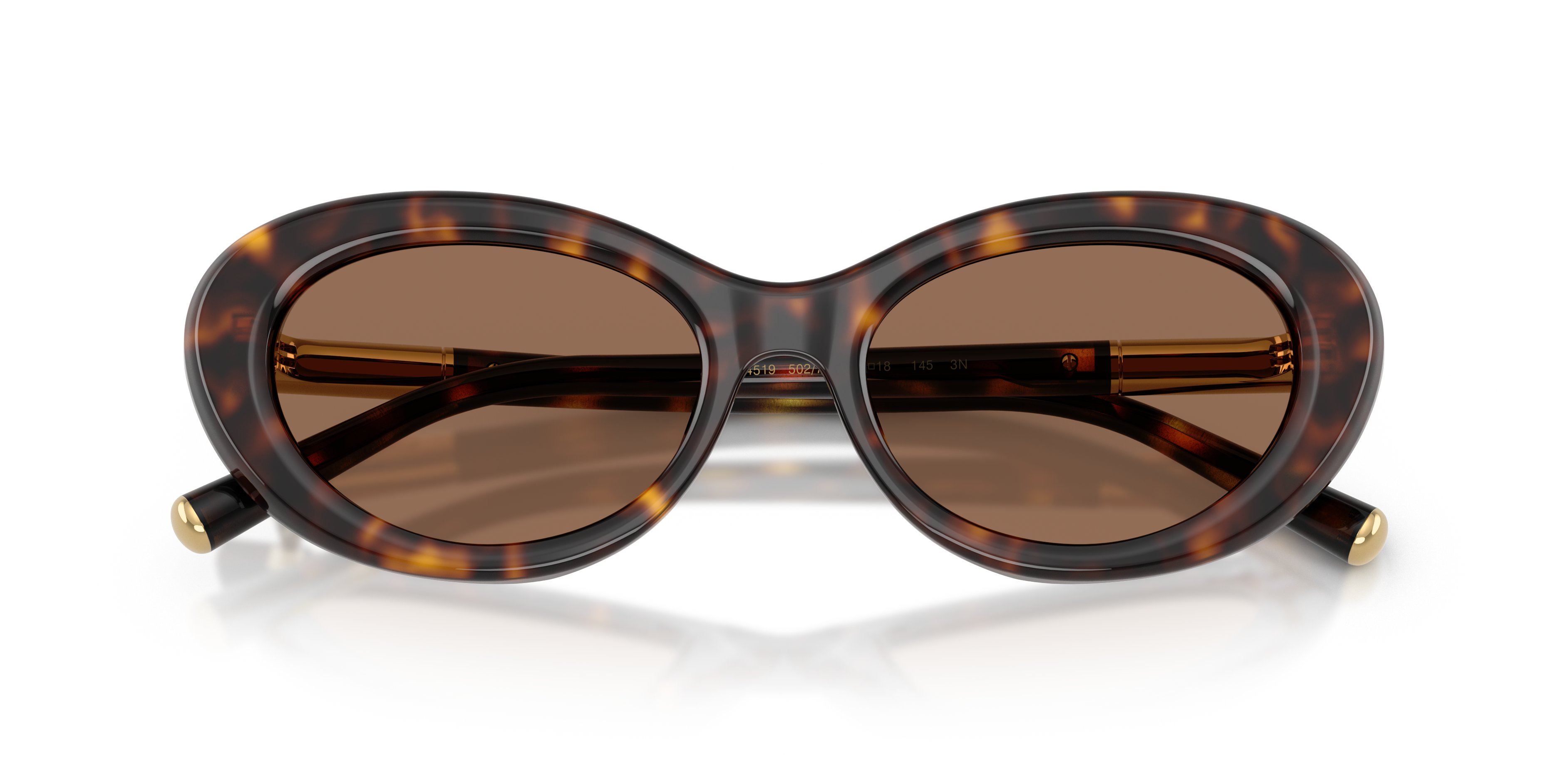 Dolce & Gabbana DG4519 502/73