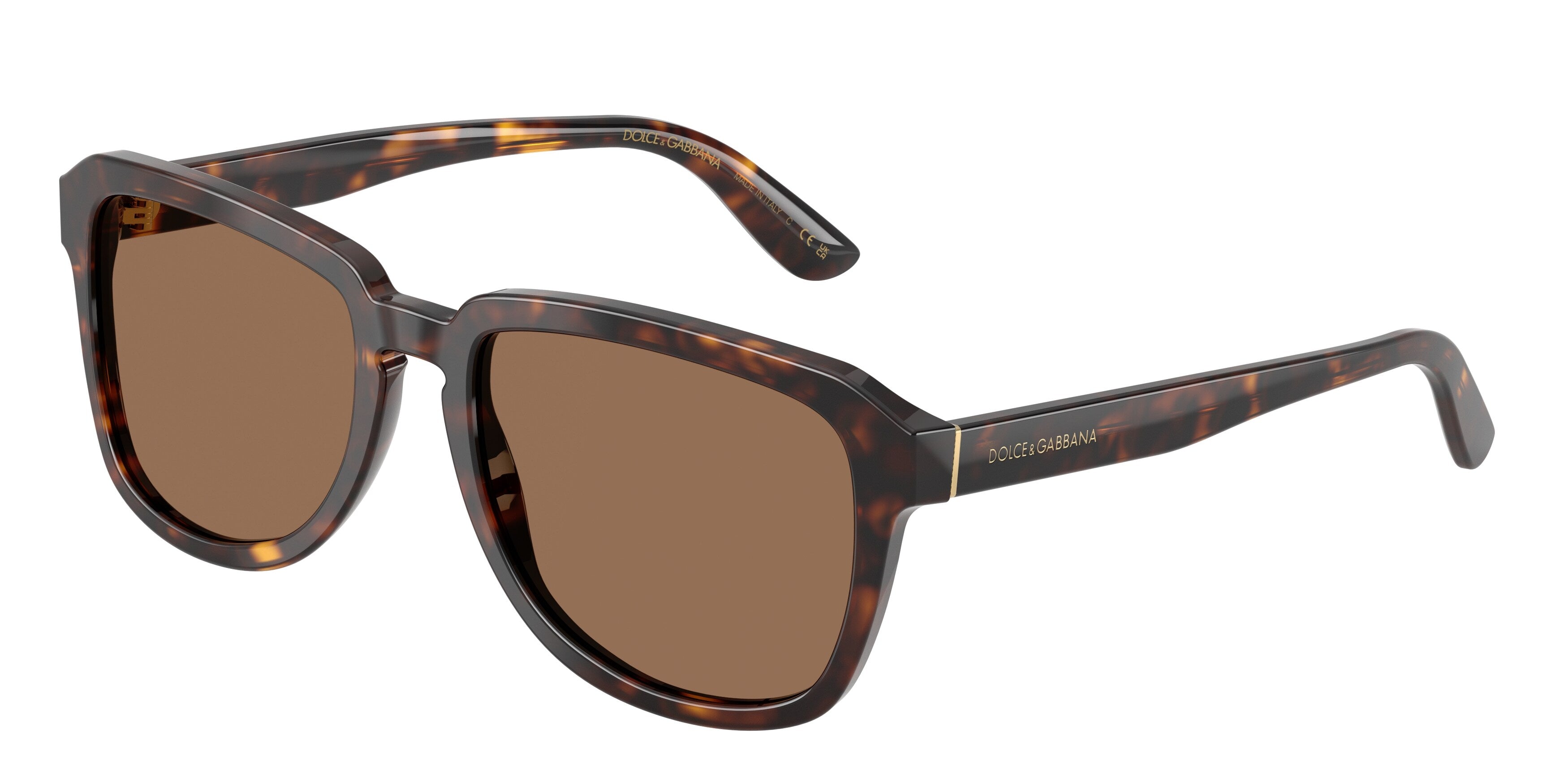 Dolce & Gabbana DG4566 502/73