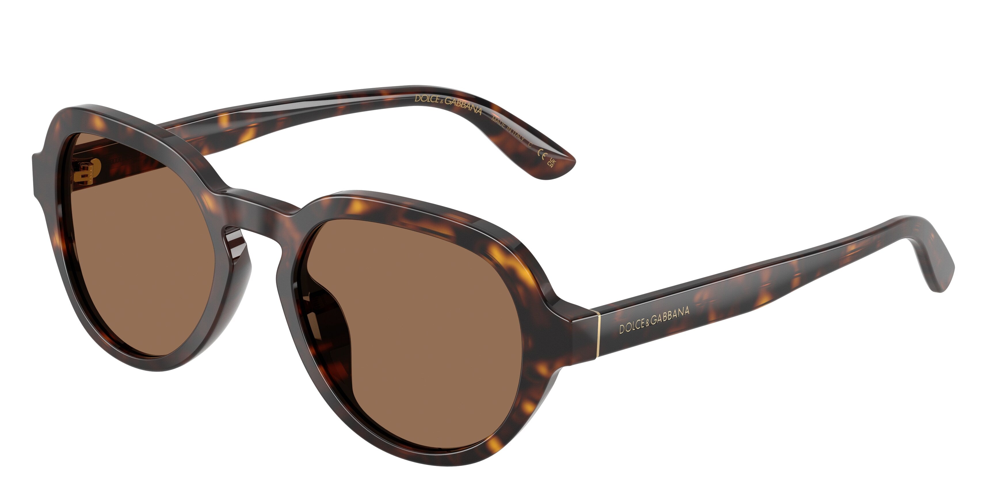 Dolce & Gabbana DG4567 502/73