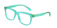 Dolce & Gabbana DX3356 3322
