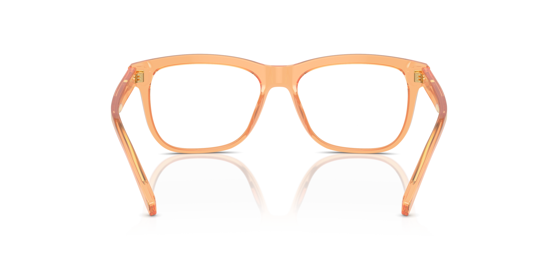 Dolce & GabbanaDX3356 3442 49