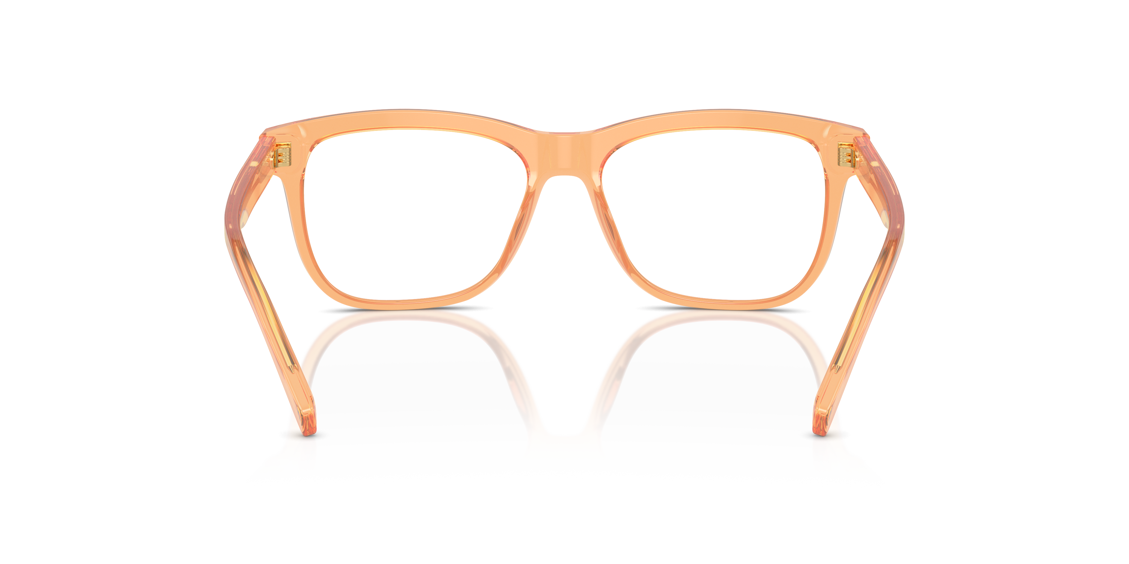 Dolce & GabbanaDX3356 3442 49