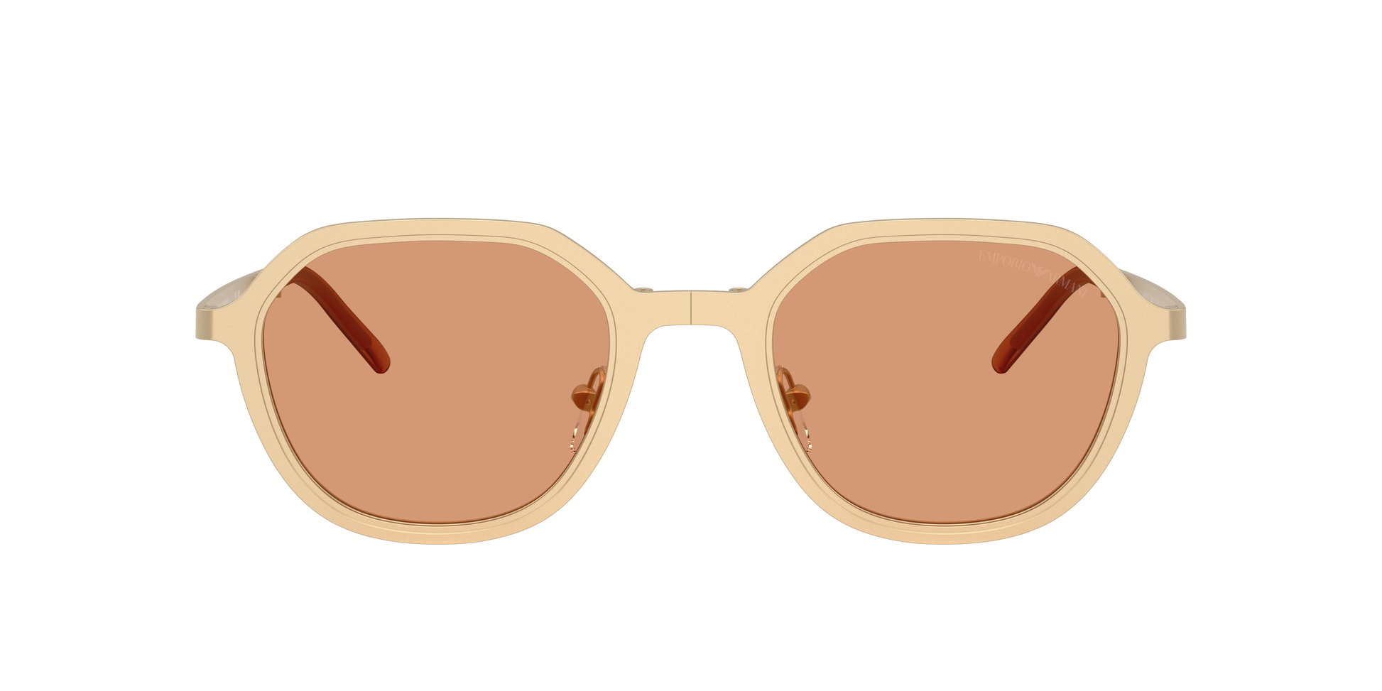 Emporio Armani EA2176 3002/7
