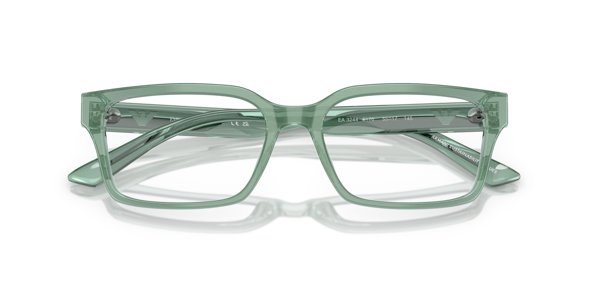 Emporio Armani EA3244 6176