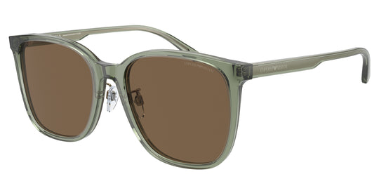 Emporio Armani EA4206D 536273 57