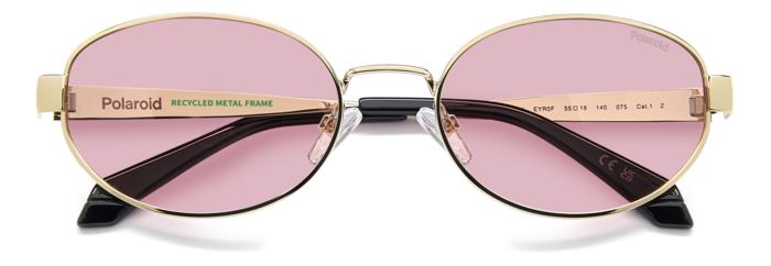 Polaroid {Product.Name} Sunglasses PLD6254/S/X EYR/0F