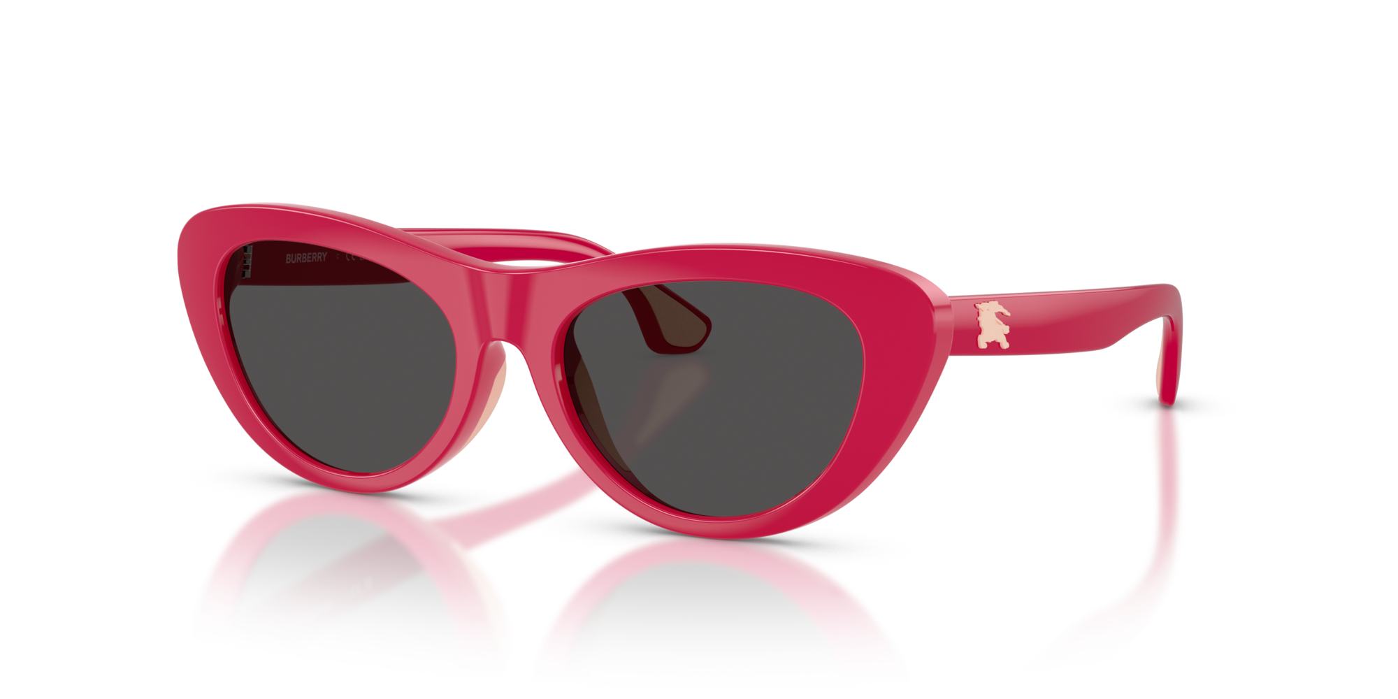 Burberry JB4004U 413187 49