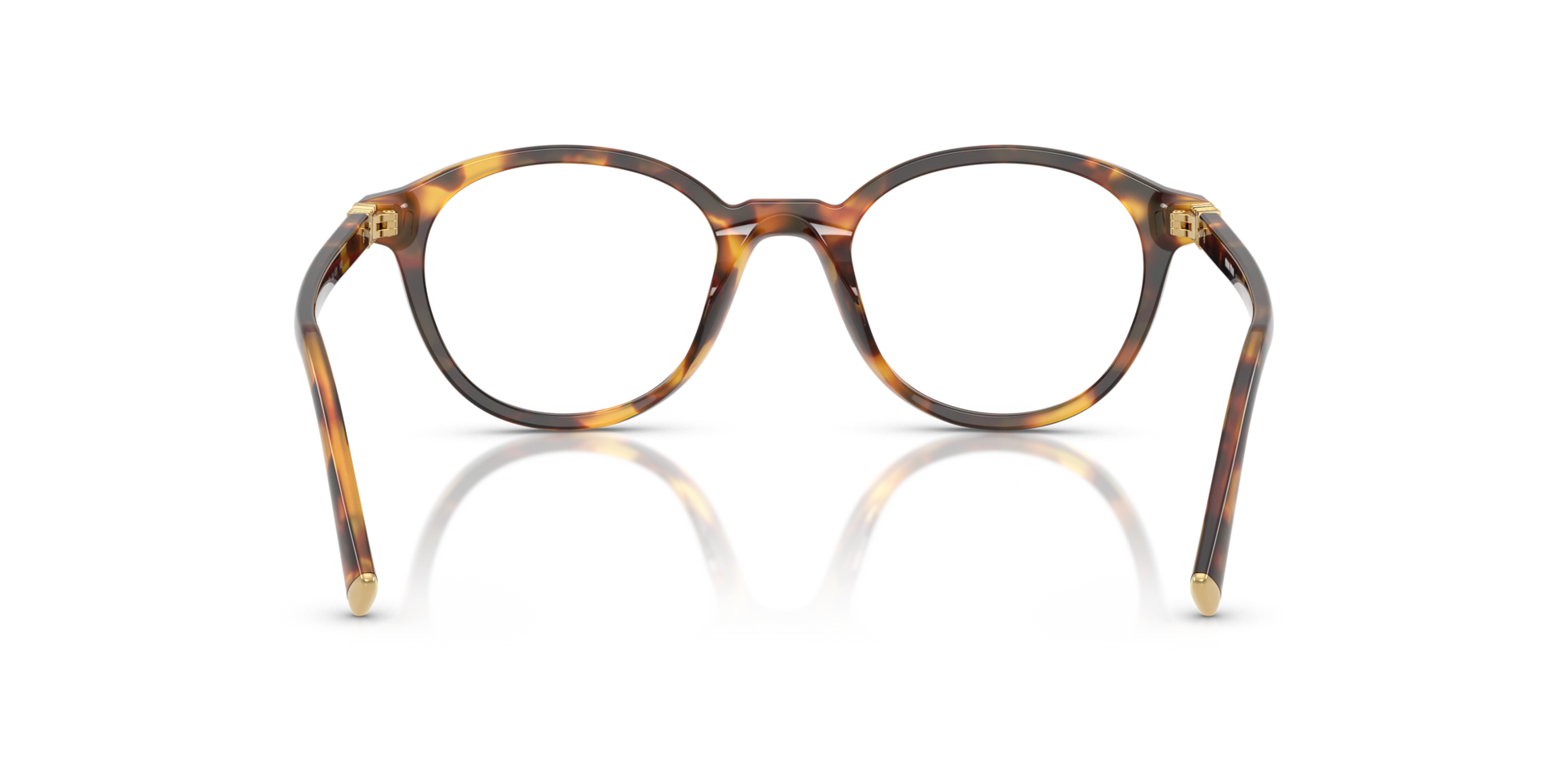 Miu Miu MU 02WV 14L1O1 Honey Havana Eyeglasses for Woman Miu Miu MU 02WV 14L1O1 Honey Havana Eyeglasses for Woman