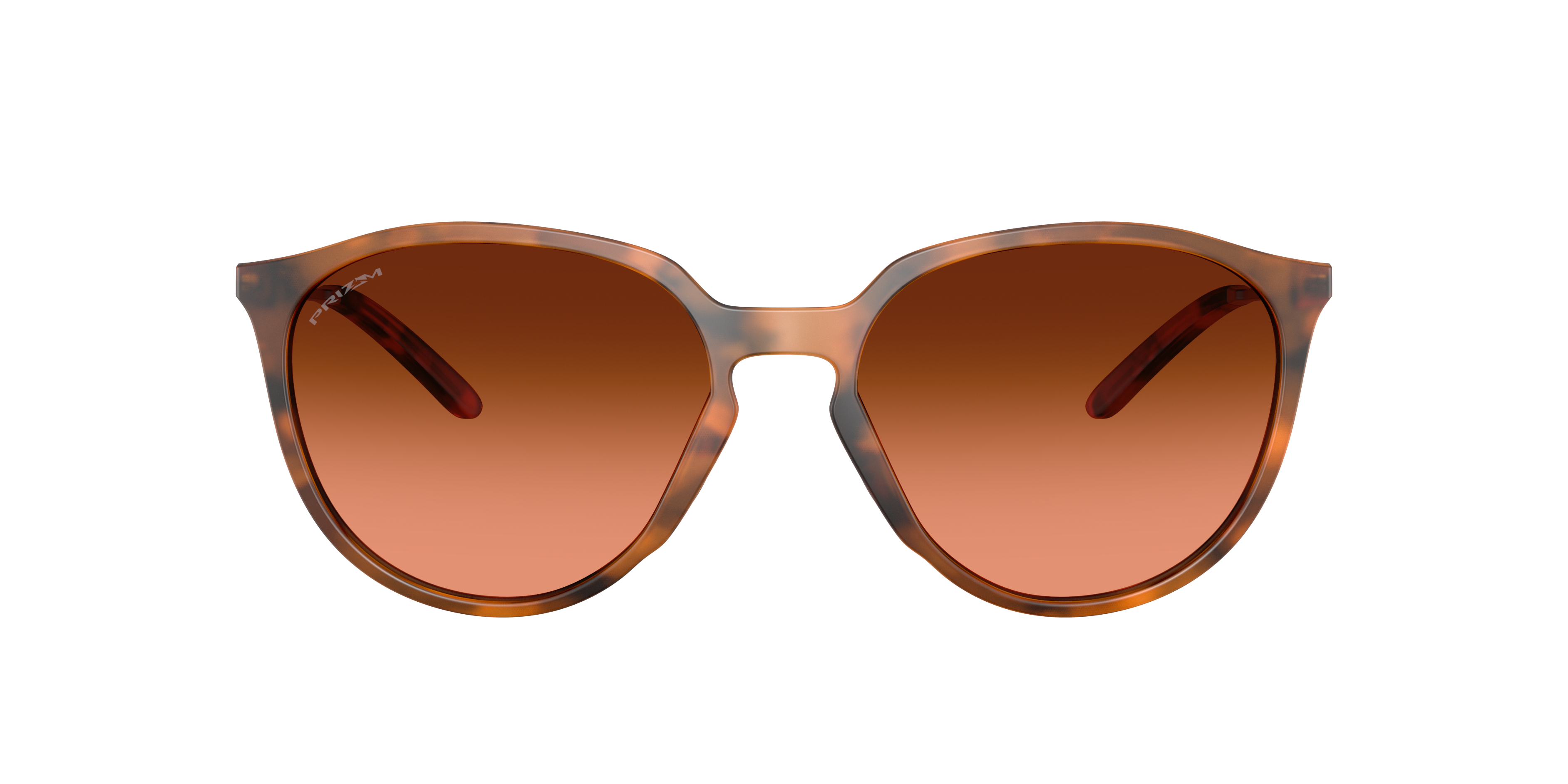 Oakley OO9288 SIELO 928809