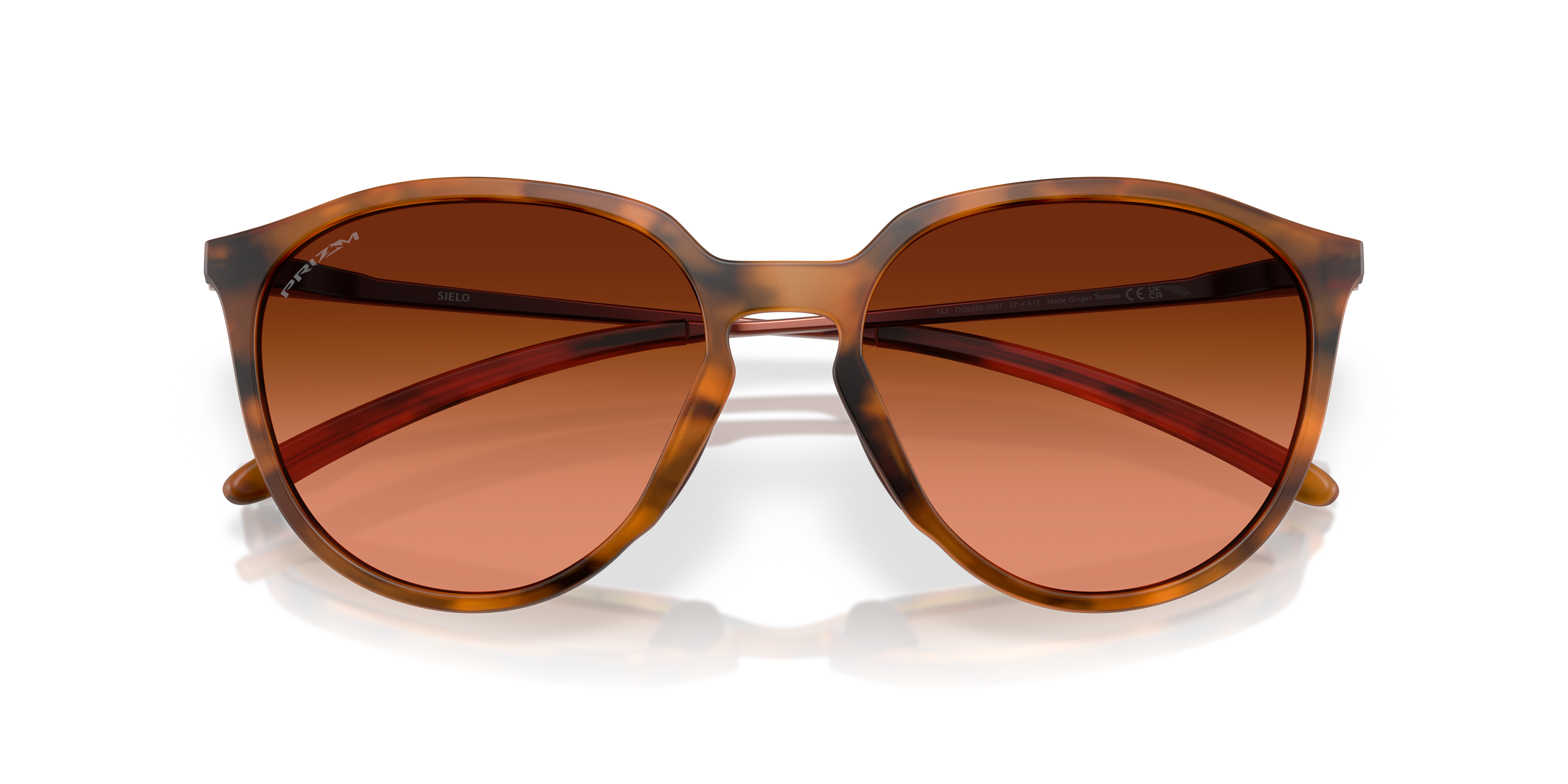 Oakley OO9288 SIELO 928809