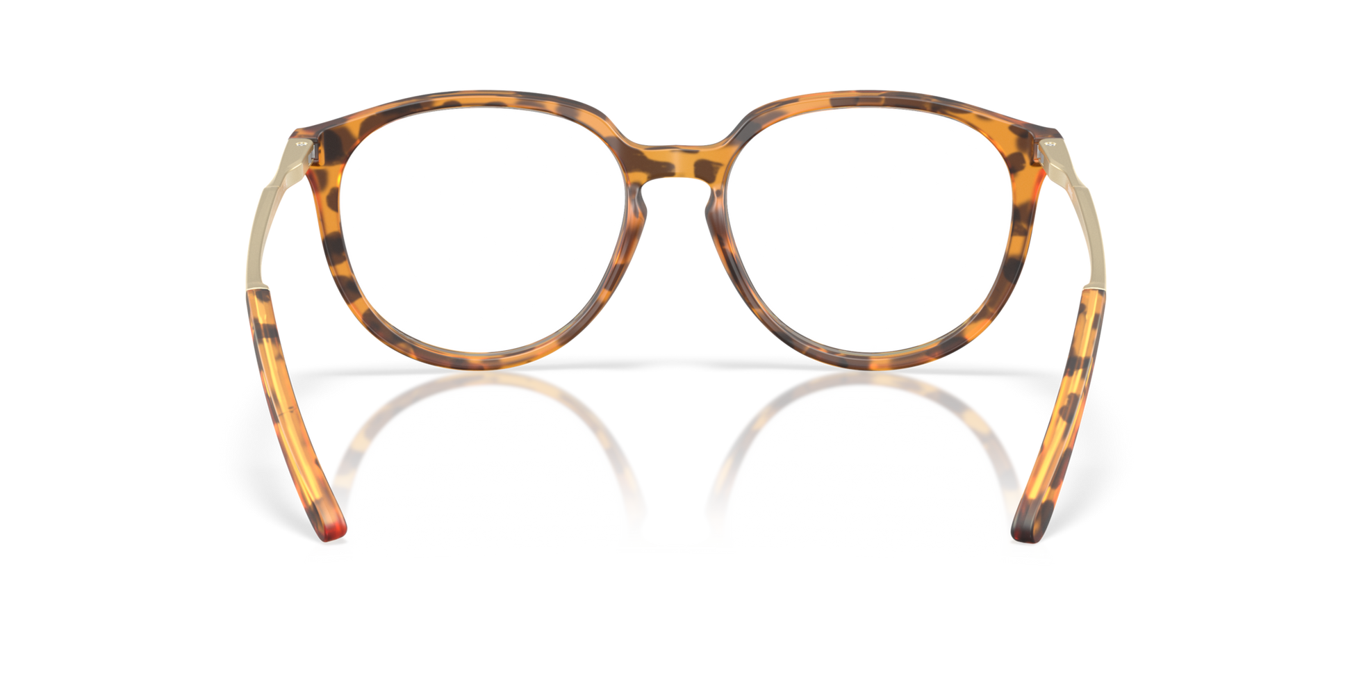 OakleyOX8150 815007 53