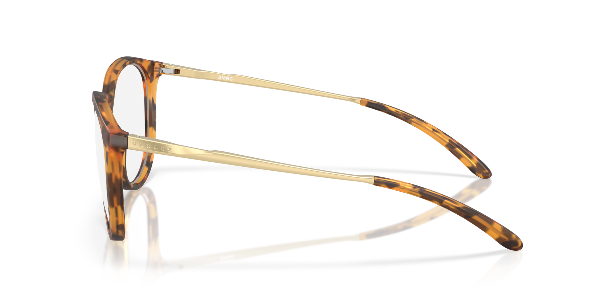 OakleyOX8150 815007 53