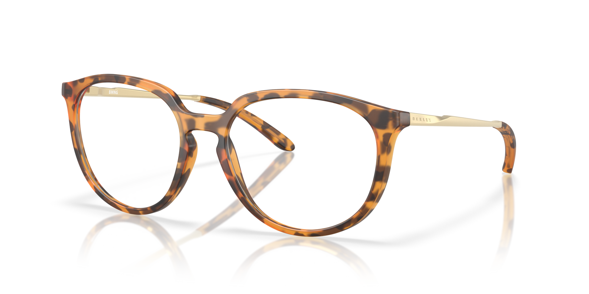 OakleyOX8150 815007 53