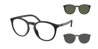 Polo PH4183U 50019A
