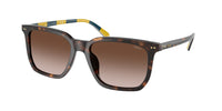 Polo PH4224U 500313