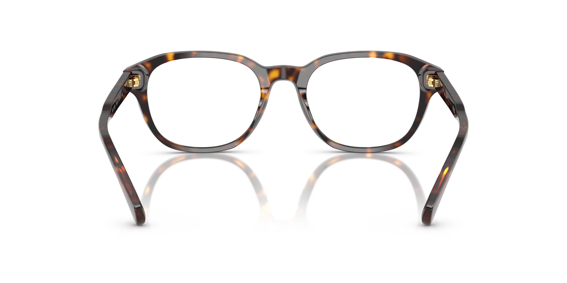 Ralph RA7172U 5003
