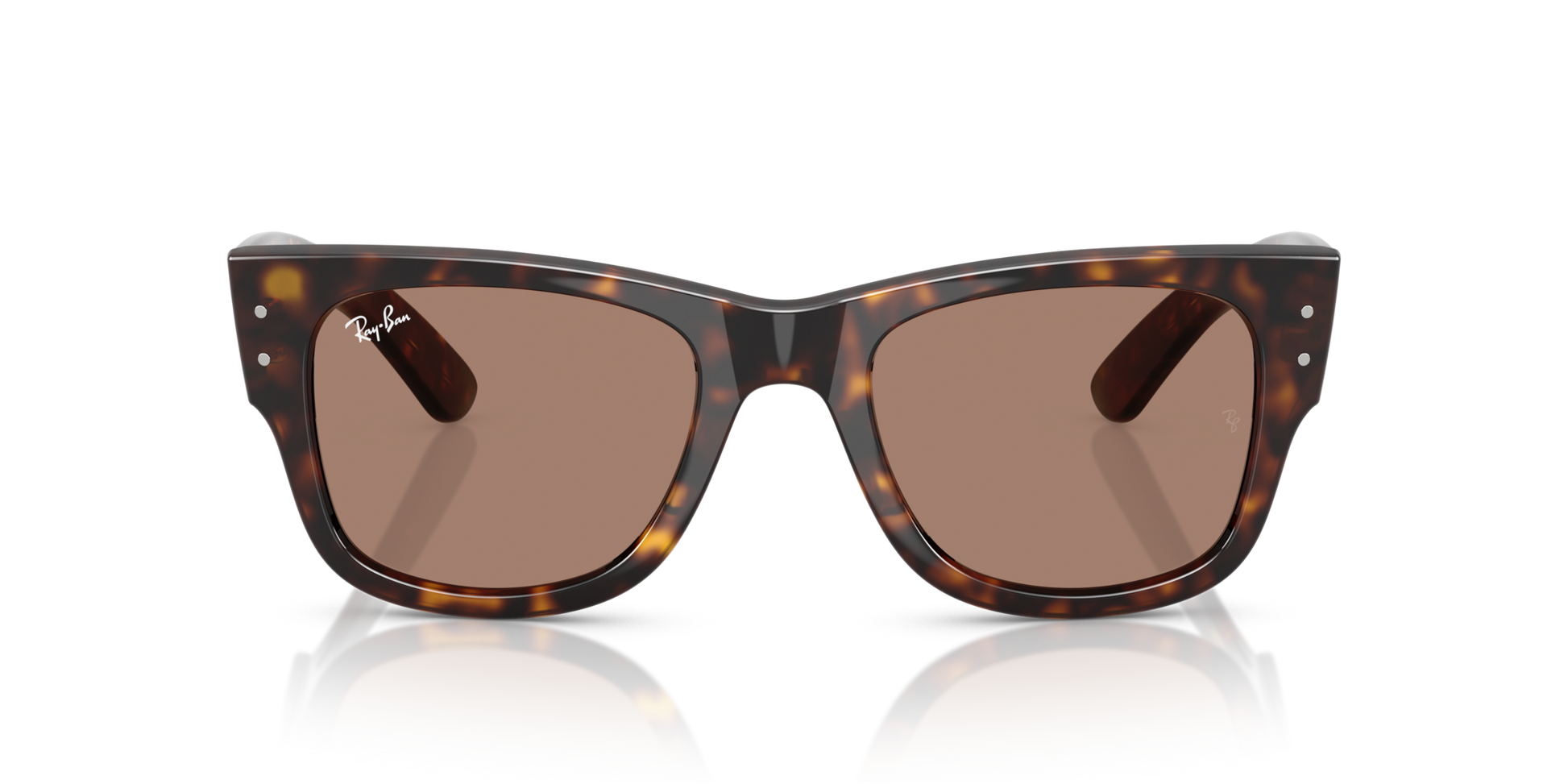 Ray-Ban RB0840S 902/1A 51