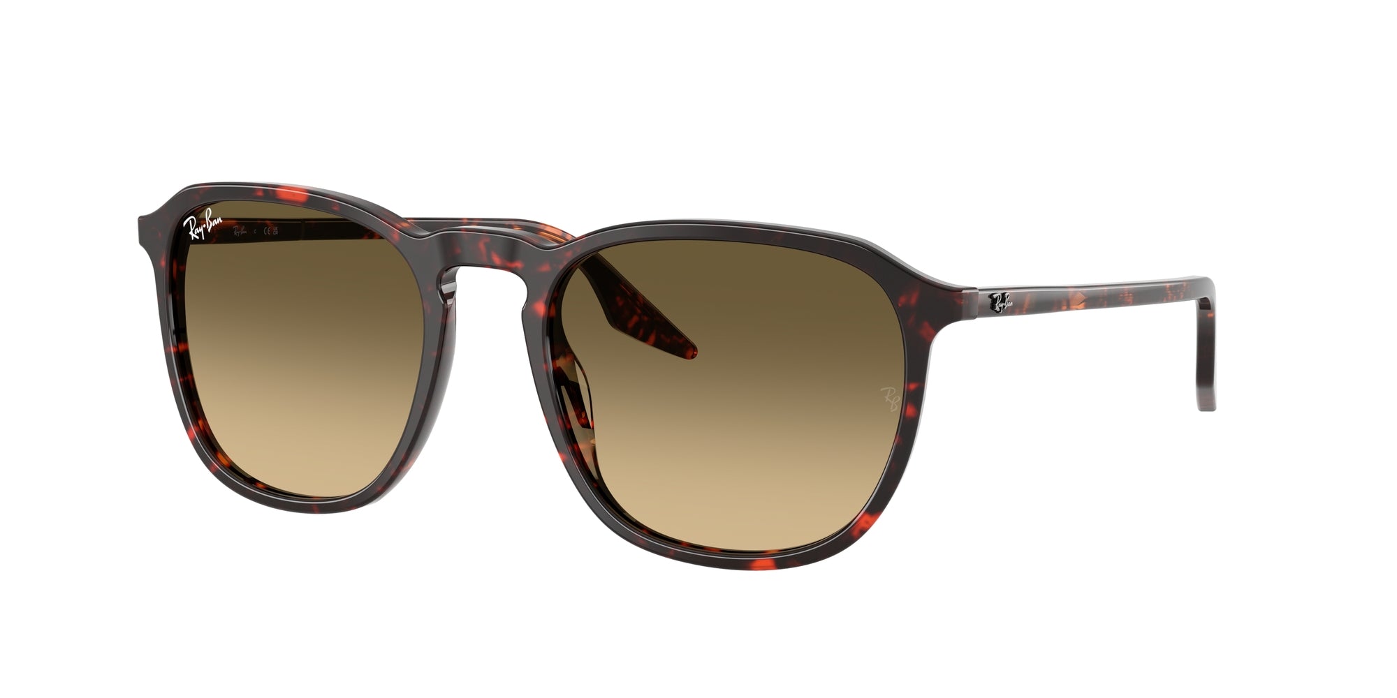 Ray-Ban RB2203 14290A 55