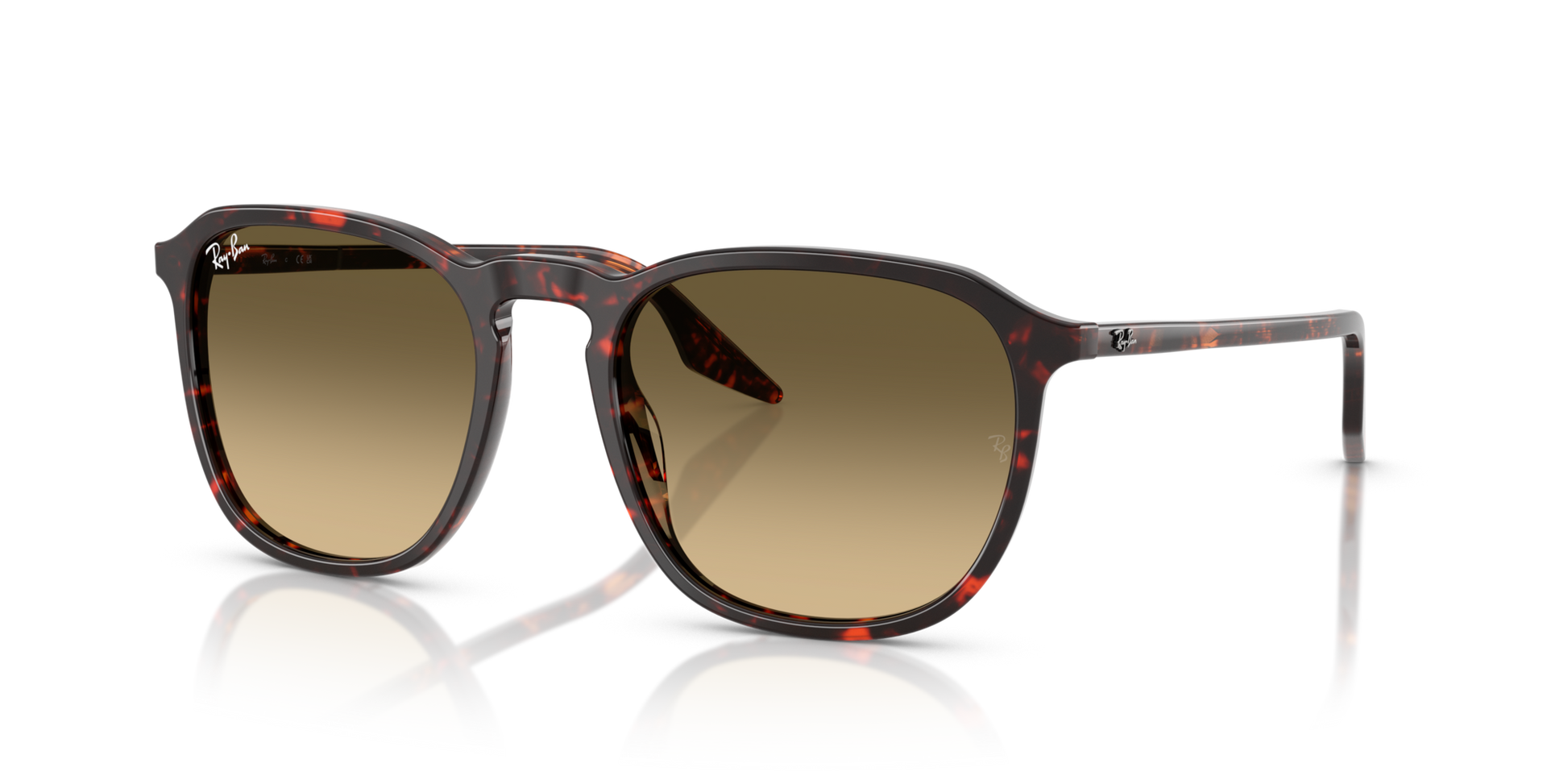 Ray-Ban RB2203 14290A 55