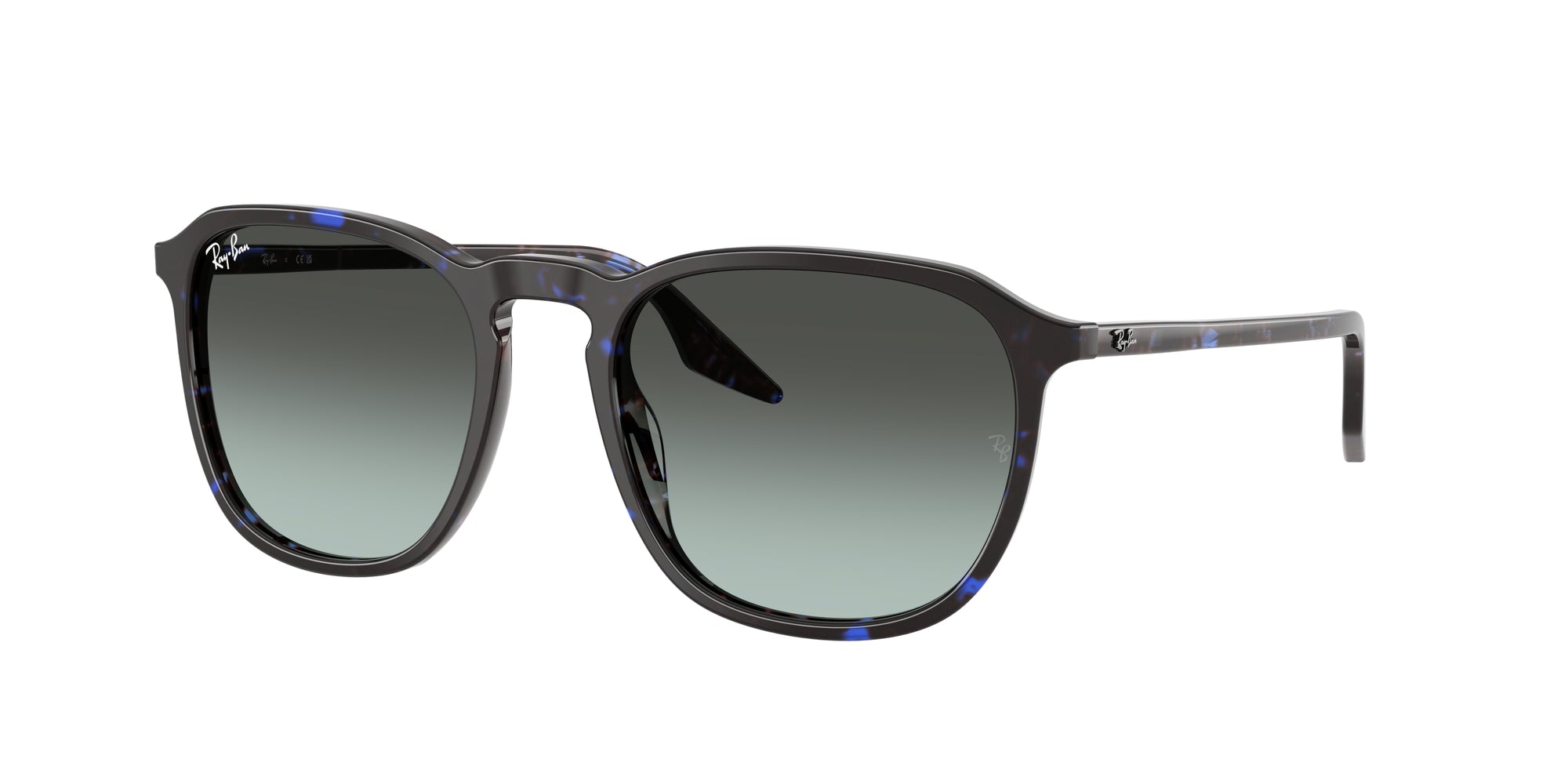 Ray-Ban RB2203 1430GK 52