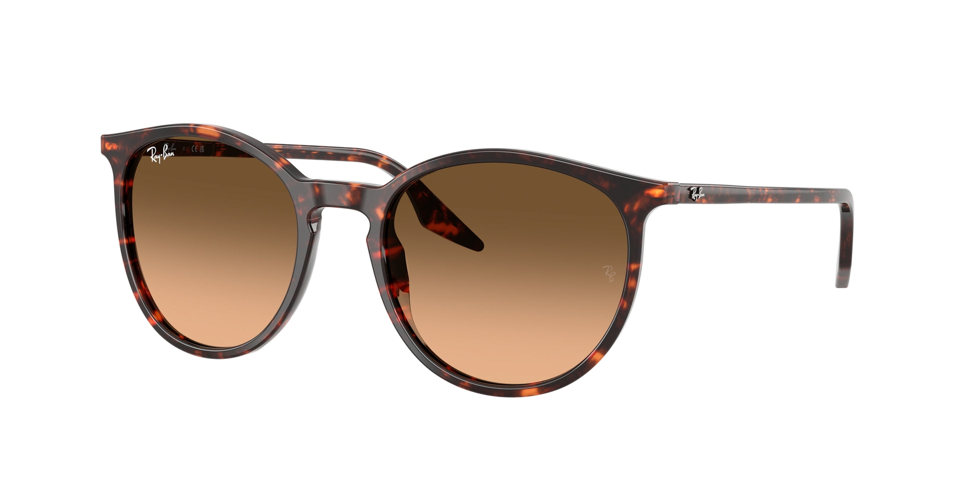 Ray-Ban RB2204 14293B 51