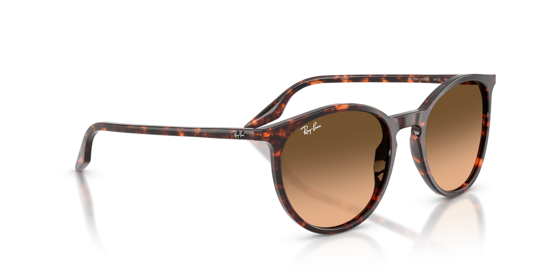 Ray-Ban RB2204 14293B 51