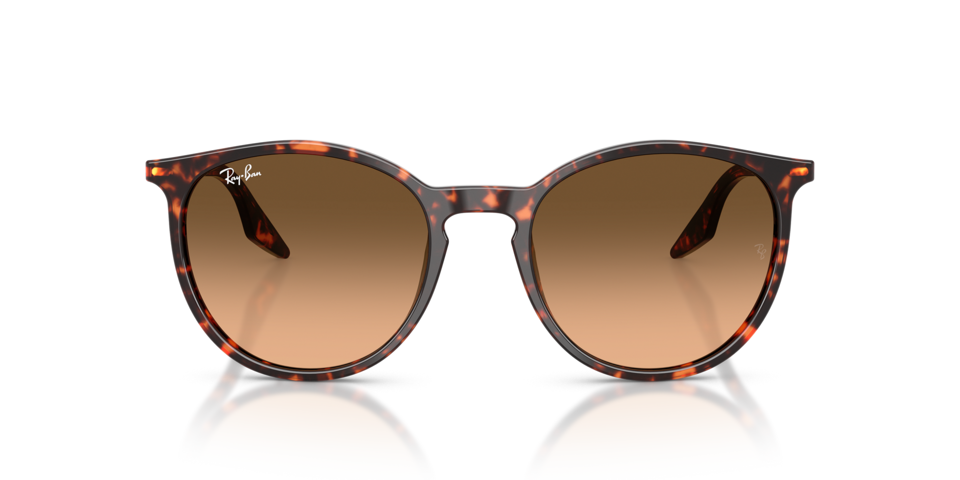 Ray-Ban RB2204 14293B 51