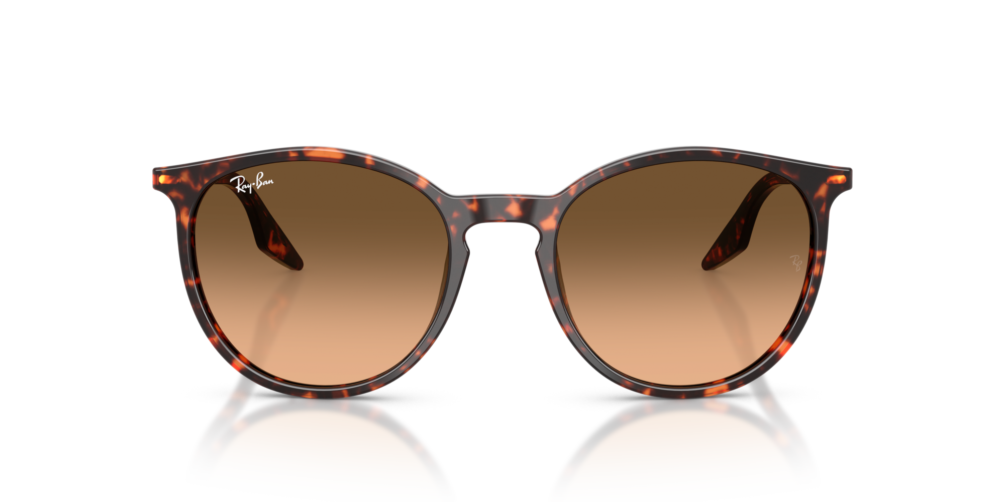 Ray-Ban RB2204 14293B 51