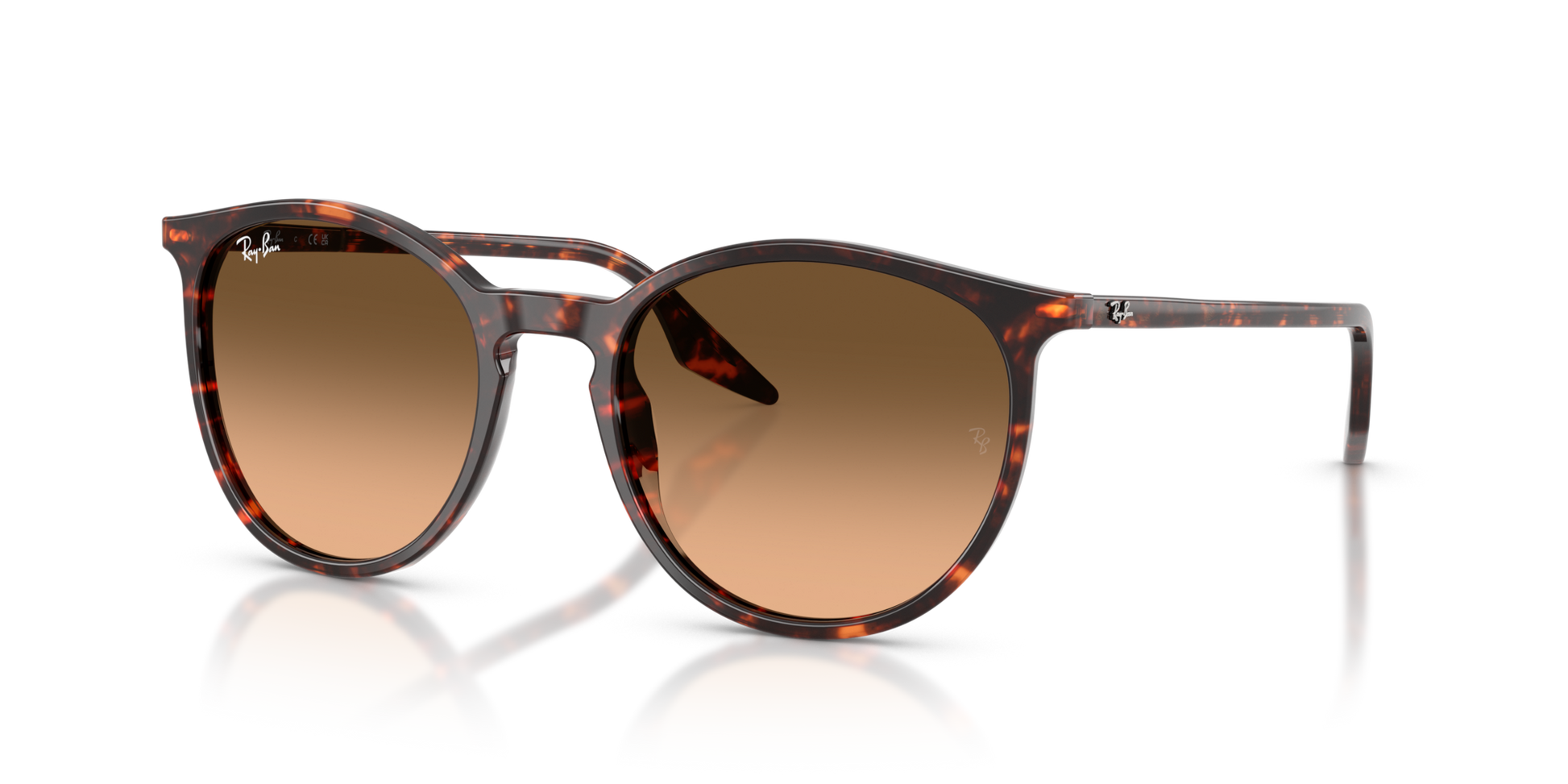 Ray-Ban RB2204 14293B 51