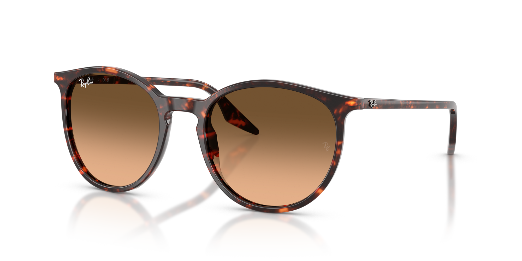 Ray-Ban RB2204 14293B 51
