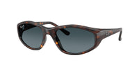 Ray-Ban RB2228 710/S3