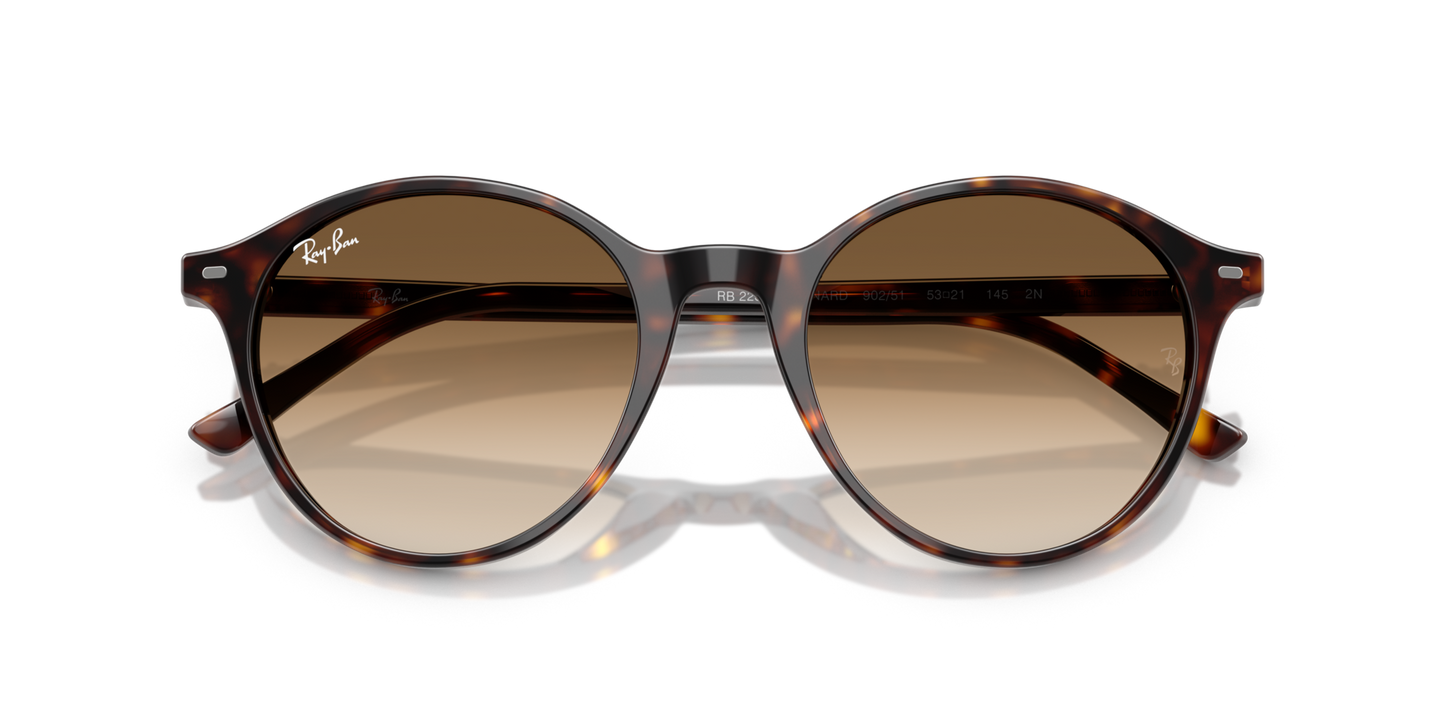 Ray-BanRB2230 902/51 51