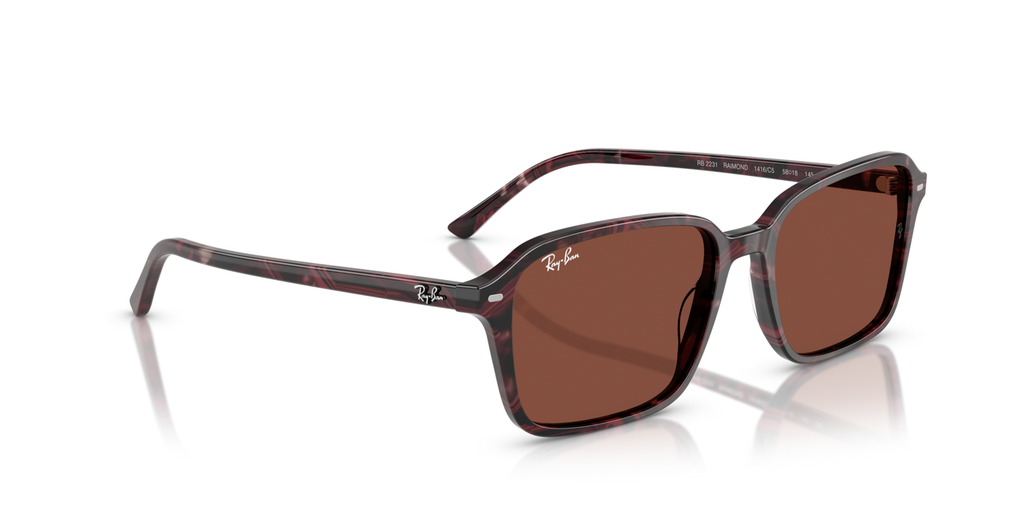 Ray-BanRB2231 1416C5 58