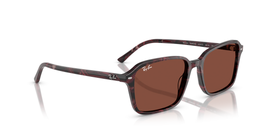 Ray-BanRB2231 1416C5 58