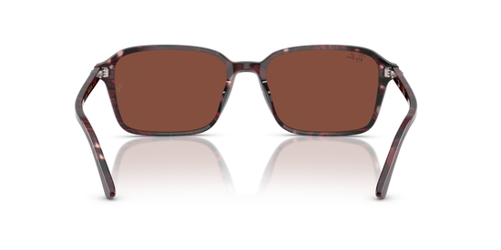 Ray-BanRB2231 1416C5 58