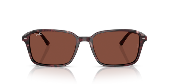 Ray-BanRB2231 1416C5 58