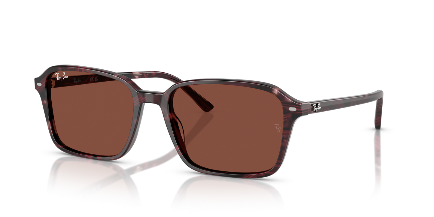 Ray-BanRB2231 1416C5 58