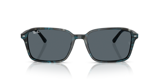 Ray-BanRB2231 1417R5 56