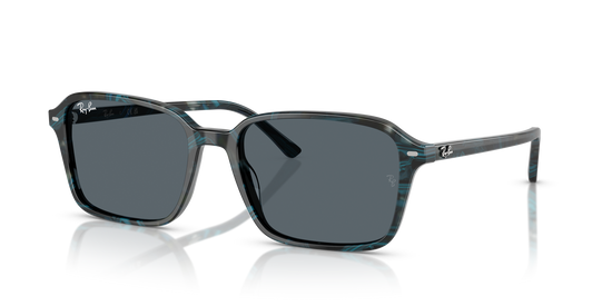 Ray-BanRB2231 1417R5 56