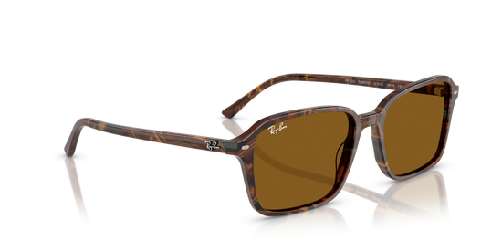 Ray-BanRB2231 141833 56