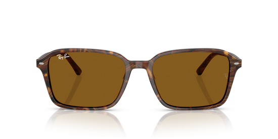 Ray-BanRB2231 141833 56