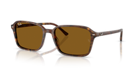 Ray-Ban Raimond RB2231 141833